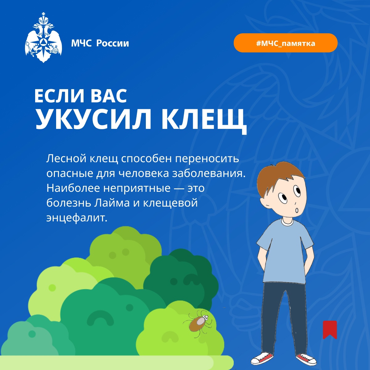 SsJqQYuQEhY