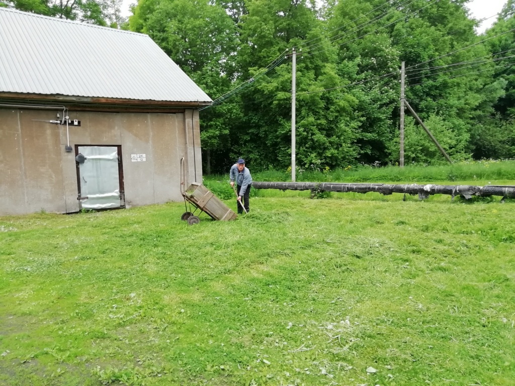 IMG 20200612 101333