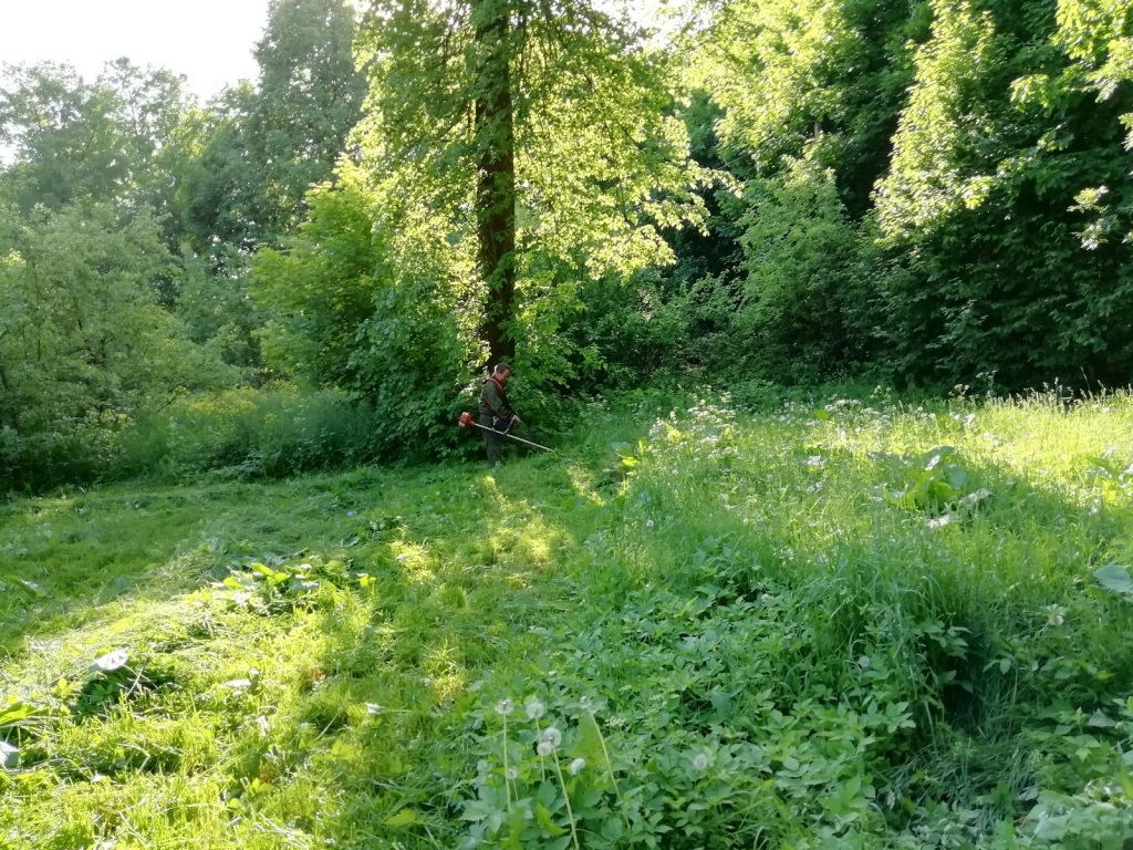 IMG 20200612 174246